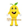 Yellow Fruit Mascot Costume Yellow Fruit Mascot Costume