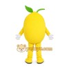 Yellow Fruit Mascot Costume Yellow Fruit Mascot Costume