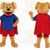 Dog Superhero Mascot Costume