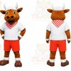 Sports Bull Mascot Costume