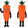 Carrot Character Mascot Costume