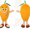 Mango Fruit Mascot Costume