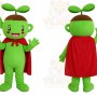 Green Elf Girl Mascot Costume