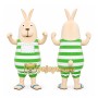 Green Striped Rabbit Mascot Costume