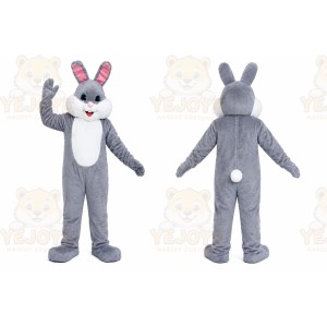 Gray Rabbit Mascot Costume