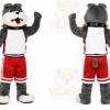 Gray Wolf Sports Mascot Costume