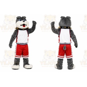 Gray Wolf Sports Mascot Costume