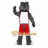 Gray Wolf Sports Mascot Costume Gray Wolf Sports Mascot Costume