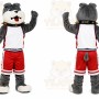 Gray Wolf Sports Mascot Costume
