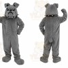 Gray Dog Mascot Costume