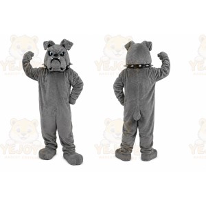 Gray Dog Mascot Costume