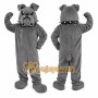 Gray Dog Mascot Costume