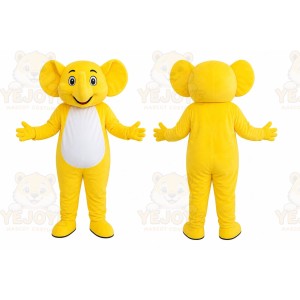 Yellow Bear Mascot Costume