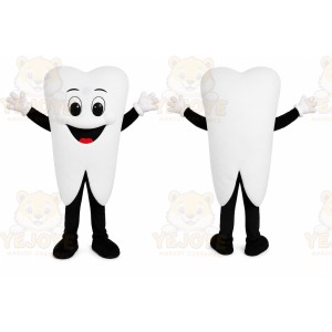 Happy Tooth Mascot Costume