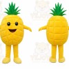 Pineapple Character Mascot Costume