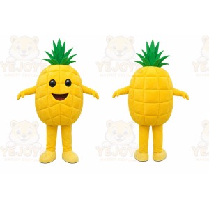 Pineapple Character Mascot Costume