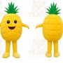 Pineapple Character Mascot Costume