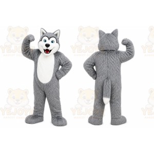 Gray Wolf Mascot Costume