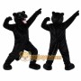 Black Panther Mascot Costume