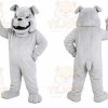 White Husky Mascot Costume