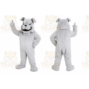 White Husky Mascot Costume
