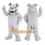 White Husky Mascot Costume