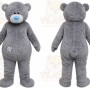 Gray Bear Mascot Costume