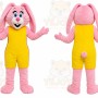 Pink Rabbit Mascot Costume