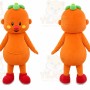 Orange Fruit Mascot Costume