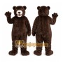 Dark Brown Bear Mascot Costume