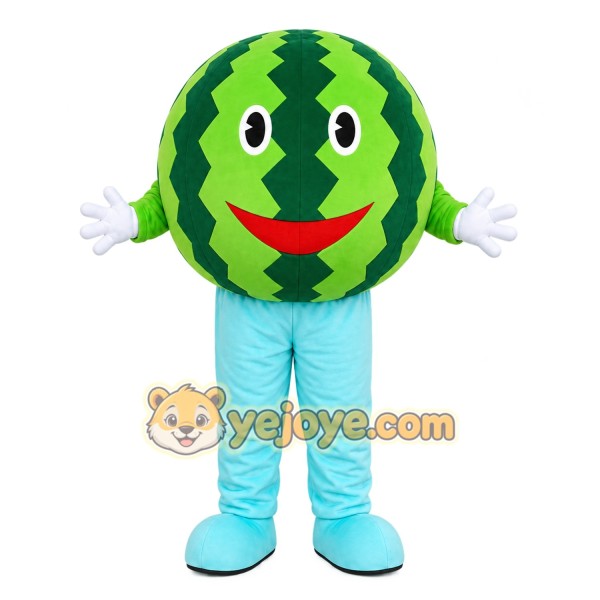 Watermelon Character Mascot Costume
