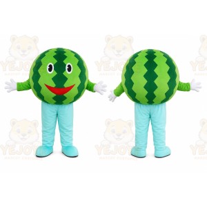 Watermelon Character Mascot Costume