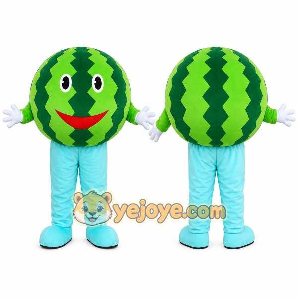 Watermelon Character Mascot Costume