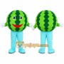 Watermelon Character Mascot Costume