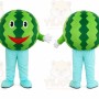 Watermelon Character Mascot Costume
