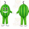 Watermelon Character Mascot Costume