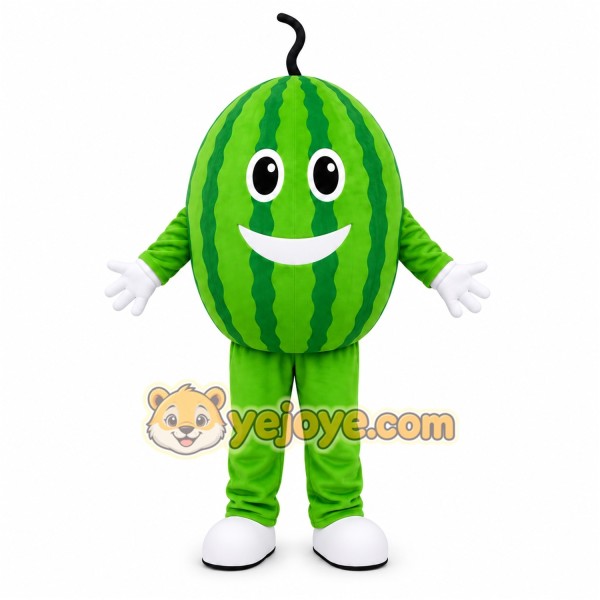 Watermelon Character Mascot Costume