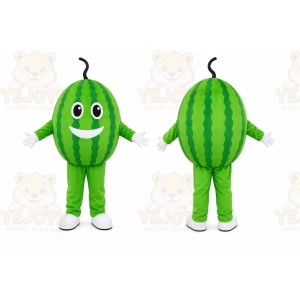 Watermelon Character Mascot Costume