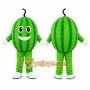 Watermelon Character Mascot Costume