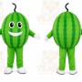 Watermelon Character Mascot Costume