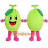Green Fruit Girl Mascot Costume Green Fruit Girl Mascot Costume