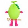Green Fruit Girl Mascot Costume Green Fruit Girl Mascot Costume