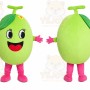 Green Fruit Girl Mascot Costume
