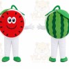 Watermelon Slice Mascot Costume
