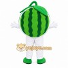 Watermelon Slice Mascot Costume Watermelon Slice Mascot Costume