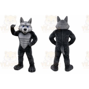 Gray Wolf Mascot Costume with Custom Logo