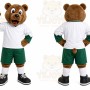 Brown Bear Mascot Costume with Custom Logo
