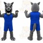 Gray Wolf Mascot Costume with Custom Logo
