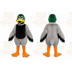 Gray Duck Mascot Costume with Custom Logo