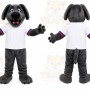 Gray Dog Mascot Costume with Custom Logo